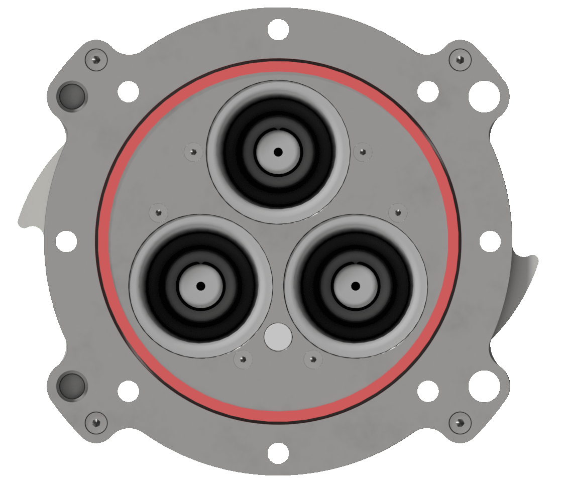 Ex11kV 8 Bolt Body SS RF front